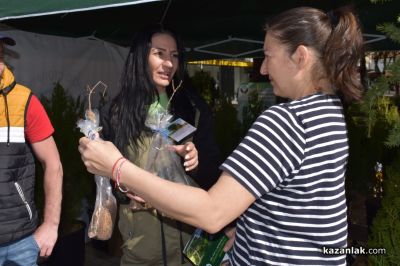 Хиляди фиданки раздадоха днес горските служители в центъра на Казналък