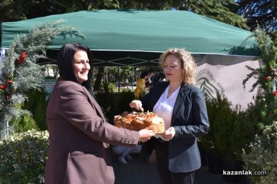 Хиляди фиданки раздадоха днес горските служители в центъра на Казналък