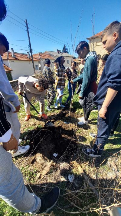 ТП “Държавно горско стопанство Мъглиж“ отбеляза Седмицата на гората 2024 г.