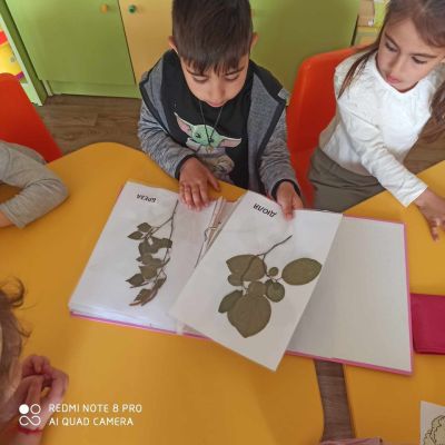 Малчуганите от розовския филиал на ДГ “Юрий Гагарин“ се включиха в Седмицата на гората