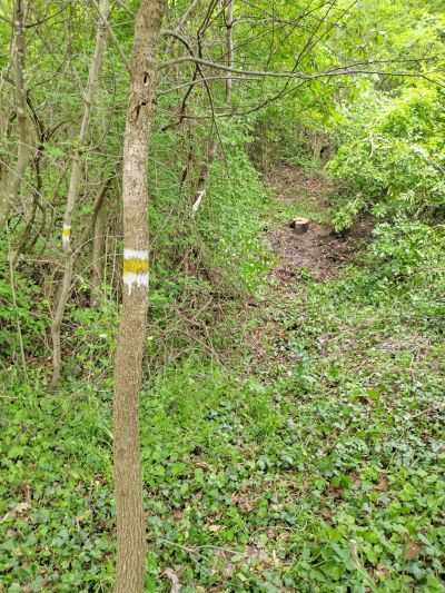 За любителите и планинарите - нова пряка пътека за хижа Теменуга