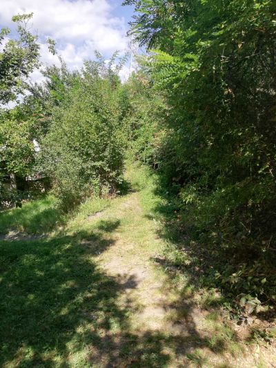 За любителите и планинарите - нова пряка пътека за хижа Теменуга