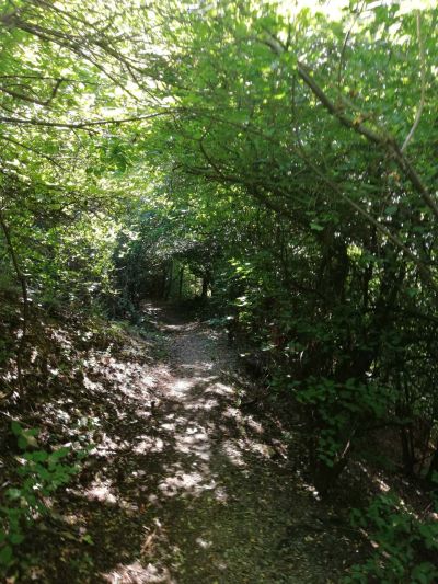 За любителите и планинарите - нова пряка пътека за хижа Теменуга