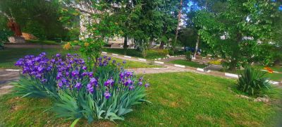 Великденска украса поставиха в град Шипка 