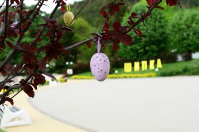 Великденска украса поставиха в град Шипка 