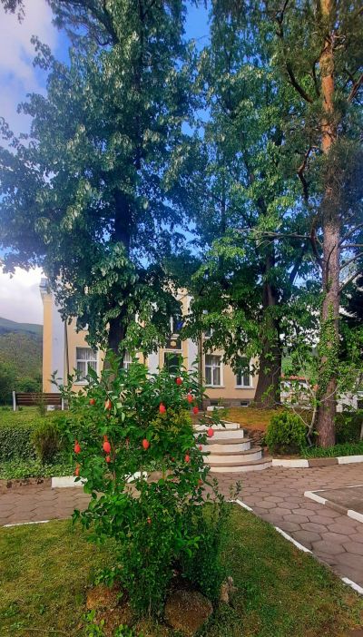 Великденска украса поставиха в град Шипка 