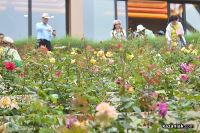 Богата и пъстра програма, предлага културния календар на Етнографски комплекс „Дамасцена“ за сезон 2024