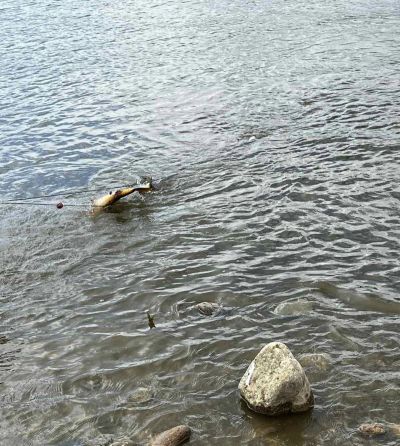 Хванаха нарушители с мрежи и риба при проверка на язовир “Жребчево“ 