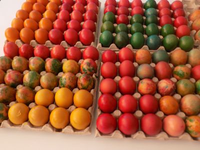 Представяне на българските традиции пред чужденци в Дом за стари хора 3