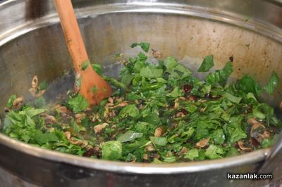 С пролетно ястие Иван Звездев нагости шейновци и гости 