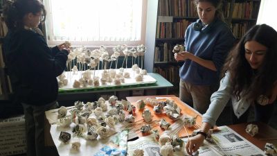 Красива арт инсталация, създадена от учениците на НУПИД “Акад. Дечко Узунов“ ще посреща посетителите на библиотека “Искра“