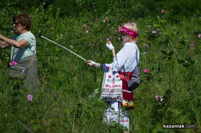 Розобер в село Розово 2024