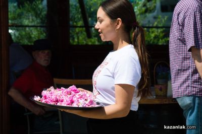 Дни на Розата в Дамасцена