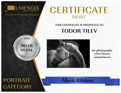 3 златни, 4 сребърни и 1 бронзов медал завоюваха фотографиите на Тодор Тилев в международен конкурс 