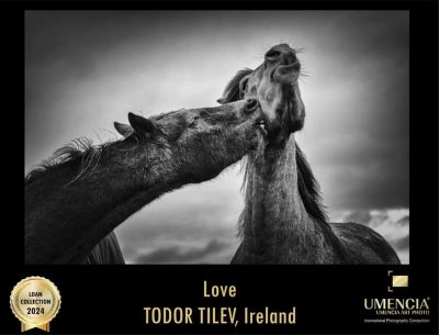 3 златни, 4 сребърни и 1 бронзов медал завоюваха фотографиите на Тодор Тилев в международен конкурс 