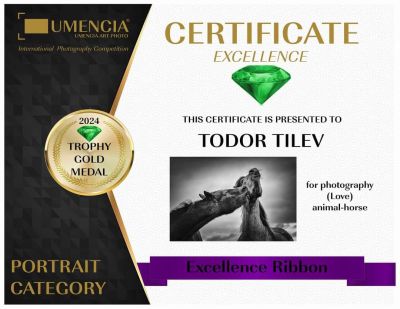 3 златни, 4 сребърни и 1 бронзов медал завоюваха фотографиите на Тодор Тилев в международен конкурс 