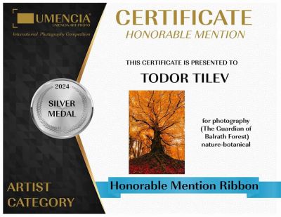3 златни, 4 сребърни и 1 бронзов медал завоюваха фотографиите на Тодор Тилев в международен конкурс 