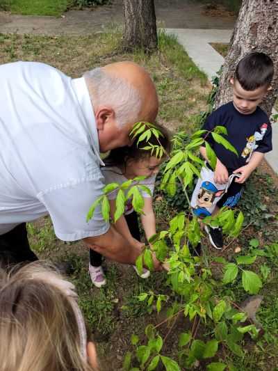Малчуганите от ДГ „Славейче“ в Казанлък, трупаха знания в „Горска класна стая“
