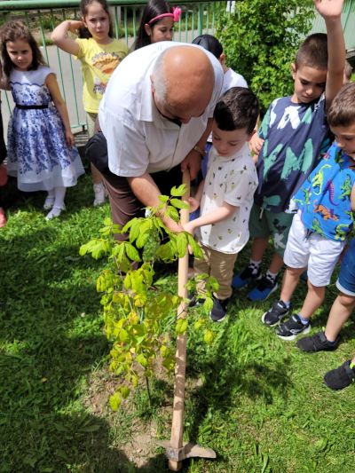 Малчуганите от ДГ „Славейче“ в Казанлък, трупаха знания в „Горска класна стая“
