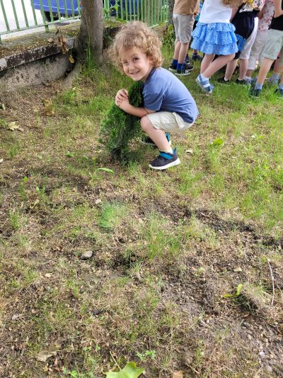 Малчуганите от ДГ „Славейче“ в Казанлък, трупаха знания в „Горска класна стая“