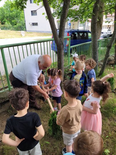 Малчуганите от ДГ „Славейче“ в Казанлък, трупаха знания в „Горска класна стая“