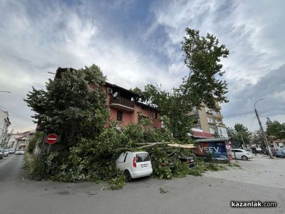 Дърво се стовари над 3 автомобила в Казанлък