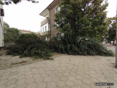 Над 60 сигнала са подадени към горещия телефон след бурята в Казанлъшко