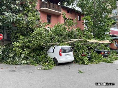 Дърво се стовари над 3 автомобила в Казанлък