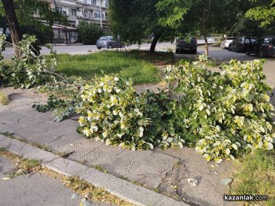 Над 60 сигнала са подадени към горещия телефон след бурята в Казанлъшко