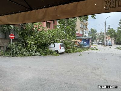Дърво се стовари над 3 автомобила в Казанлък