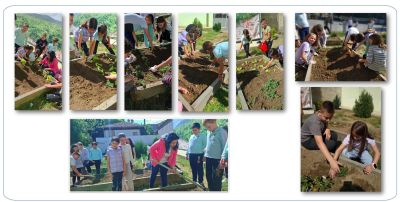 ОУ „Св. Паисий Хилендарски“ спечели първото място в конкурса „Нестле за по-здрави деца“