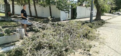 Ученици от ПХГ „ Св. Св. Кирил и Методий“ помагат във възстановяването на град Шипка след страшната буря