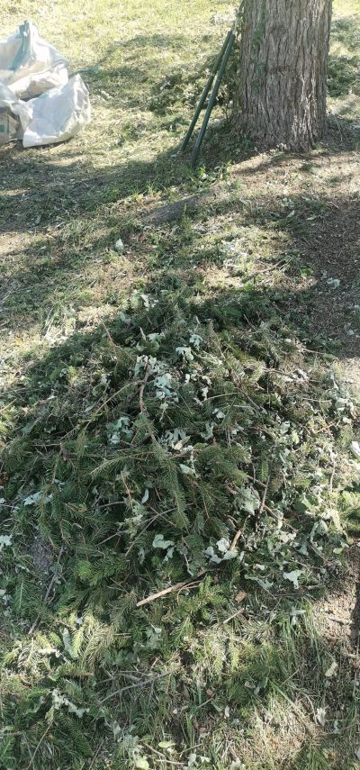 Ученици от ПХГ „ Св. Св. Кирил и Методий“ помагат във възстановяването на град Шипка след страшната буря