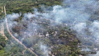 Пожар избухна в района на прелеза между селата Ягода и Ръжена