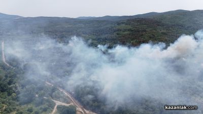 Пожар избухна в района на прелеза между селата Ягода и Ръжена