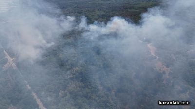 Пожар избухна в района на прелеза между селата Ягода и Ръжена