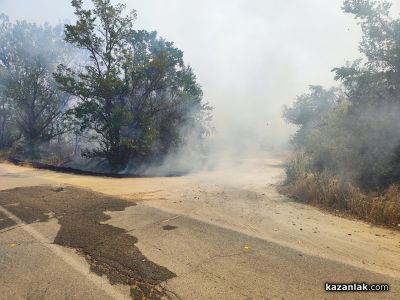 Пожар избухна в района на прелеза между селата Ягода и Ръжена