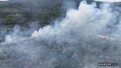 Пожар избухна в района на прелеза между селата Ягода и Ръжена