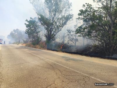 Пожар избухна в района на прелеза между селата Ягода и Ръжена