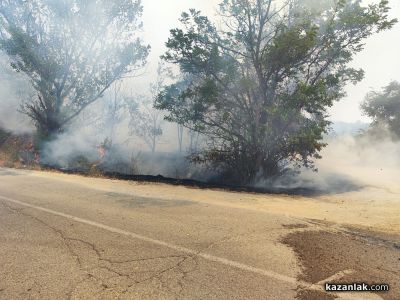 Пожар избухна в района на прелеза между селата Ягода и Ръжена