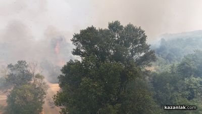 Пожар избухна в района на прелеза между селата Ягода и Ръжена