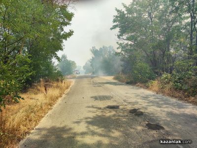 Пожар избухна в района на прелеза между селата Ягода и Ръжена