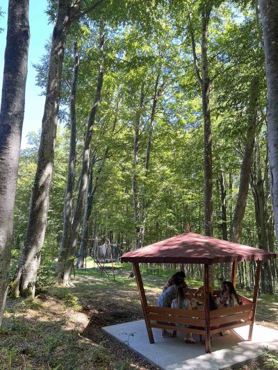 Създайте летни емоции сред прохладата на хотел „Еделвайс“