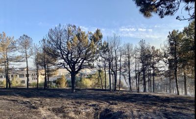 Пожарникарите от Старозагорско са реагирали на 172 произшествия само за 10 дни