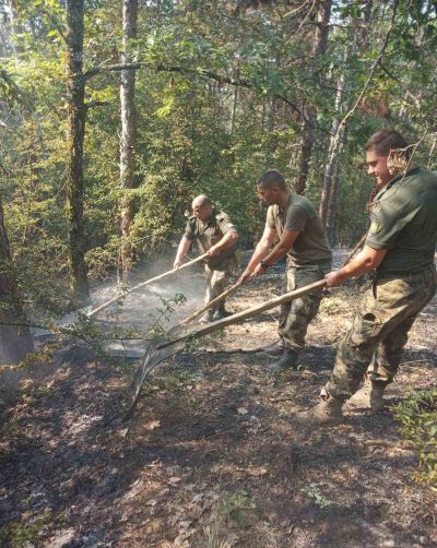 Военнослужещи от 61- ва Стрямска механизирана бригада и днес се включиха в борбата с огъня край село Отец Паисиево