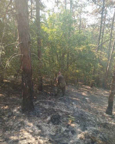 Военнослужещи от 61- ва Стрямска механизирана бригада и днес се включиха в борбата с огъня край село Отец Паисиево