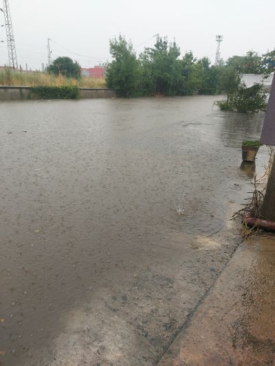 Силен дъжд в Казанлък. Температурата падна до 19 градуса