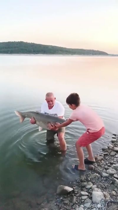 Огромни риби излизат на язовир Копринка / Видео и снимки 