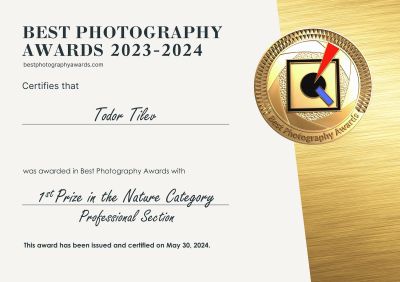 Тодор Тилев получи покана да журира в престижно международно състезание по фотография