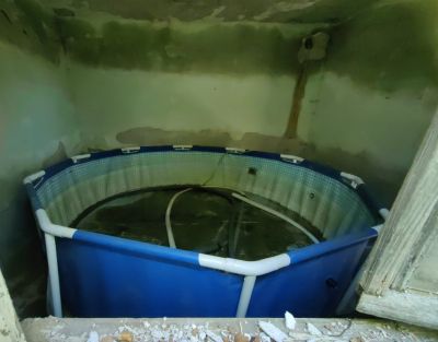 Полицията откри градина от марихуана с поливна система в изоставена вила в Казанлък